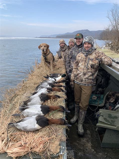 These include a goose or duck call, a shotgun, a boat, ammunition, decoys and a hunting blind. . Goldeneye duck hunting guides